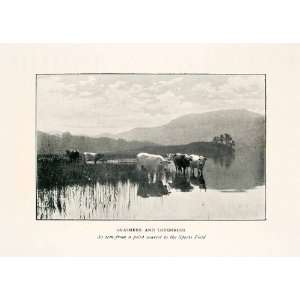   Landscape Mountain Marsh   Original Halftone Print