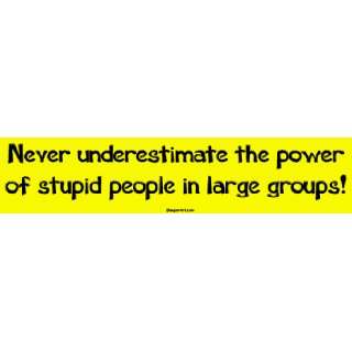 Never underestimate the power of stupid people in large groups Large 