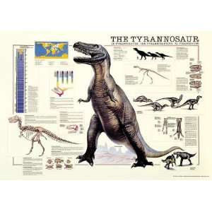  Tyrannosaurus Rex Puzzle   1,000 pieces Toys & Games