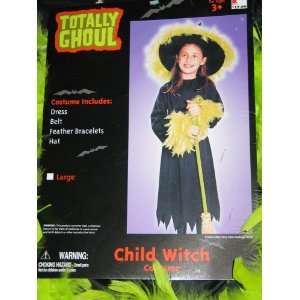  Totally Ghoul Child Witch Costume: Toys & Games