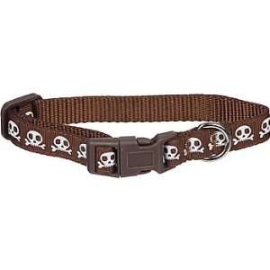  Petco Wag a tude Brown Skull Dog Collar, Toy: Pet Supplies