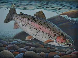 Rainbow Trout Fish Print Fly Fishing by artist Doug Walpus  
