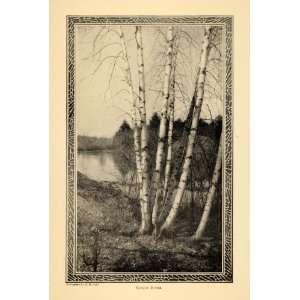  1909 Print Saugus River Birch Tree Landscape G.M. Astle 