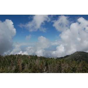  Beauty  Arizona Mountain Top Landscape 