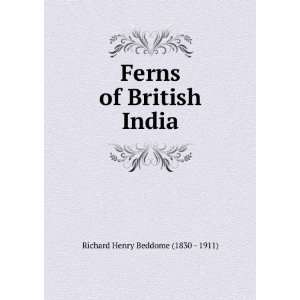   : Ferns of British India: Richard Henry Beddome (1830   1911): Books