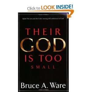  Their God Is Too Small Open Theism and the Undermining of 