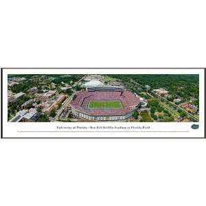  Florida Gators Ben Hill Griffin Stadium Framed Panoramic 