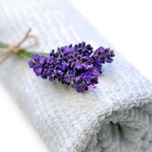  Vanilla Lavender home fragrance oil 15ml: Health 