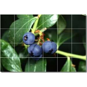   Vegetables Photo Backsplash Tile Mural 18  24x36 using (24) 6x6 tiles