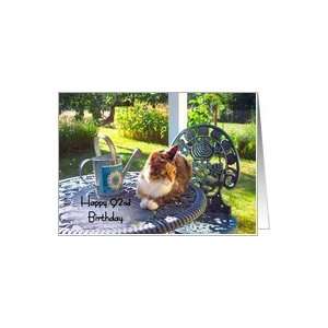  Happy 92nd Birthday, calico cat on porch, garden view Card 