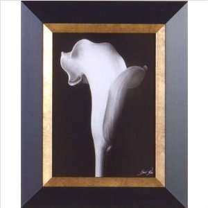  Phoenix Galleries FR2359 Arum Lily IV Framed Photograph 