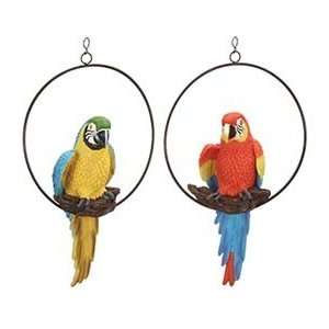   Set Of 2 Tropical Parrots In Rings Garden Statue Sculpture Beauty