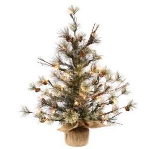   Dakota Pine 35 Clear Lights Christmas Tree (B115425): Home Improvement
