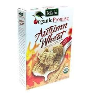 Kashi Organic Promise Biscuit Grocery & Gourmet Food