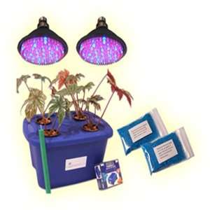  LED Hydroponic Kit