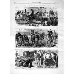  1871 HORSE SHOW AGRICULTURAL PONIES PERCHERON STALLION 