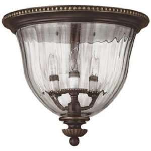   Collection Bronze 14 1/2 Wide Ceiling Light: Home Improvement