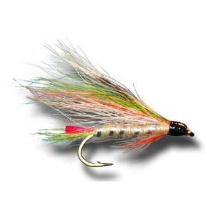  Little Brook Trout Fly Fishing Fly: Sports & Outdoors