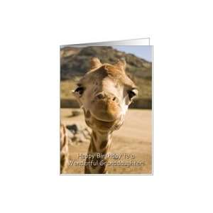   Young Giraffe   Happy Birthday Granddaughter Card: Toys & Games