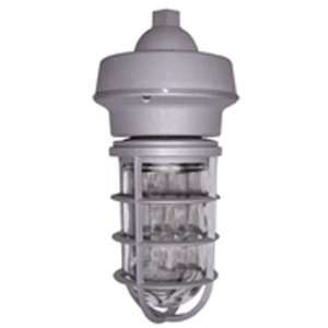  Vaportight Pendant Light with Guard   70W MH, QT