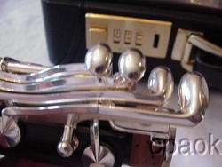 NEW Buffet Crampon FESTIVAL R 13 Bb Clarinet R13 Handpicked by Artist 