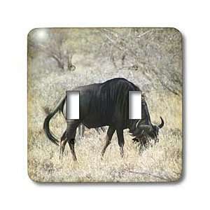  view   Light Switch Covers   double toggle switch: Home Improvement