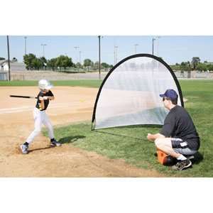  Power Stick Baseball Training Bat: Sports & Outdoors
