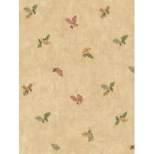  Wallpaper Steves Color Collection   Brown BC1582219