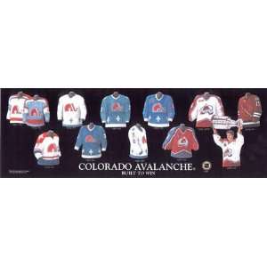 10x30 NHL Colorado Avalanche Plaque 