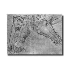  Heads Of Horses From The The Vallardi Album Giclee Print 