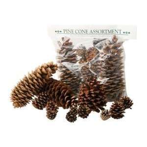    Hiawatha Pine Cone Assortment Case Pack Arts, Crafts & Sewing