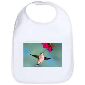  Baby Bib Cloud White Black Chinned Hummingbird: Everything 