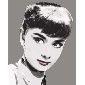  Audrey Hepburn In Silver Celebrity Photography Poster 16 x 