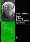 Atlas of Arthropod Sensory Receptors Dynamic Morphology in Relation 
