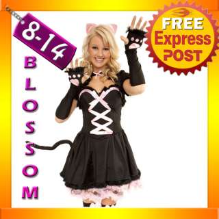 2861 Cheshire Cat Alice in Wonderland Dress Up Costume  