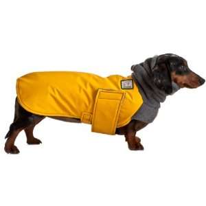  Miniature Dachshund Winter Dog Coat: Pet Supplies