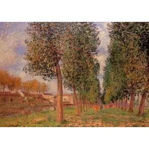   Poplar Avenue at Moret, Cloudy Day, Morning Alfred