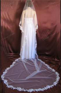 1T White Cathedral Floral Vine Lace Bridal Wedding Veil  