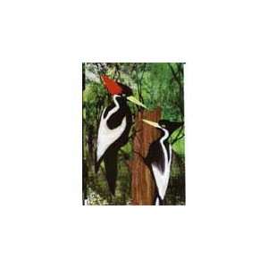   Ivory Billed Woodpecker 12 X 40 Inches House Flag
