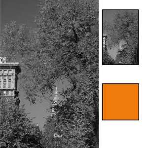   Hasselblad Bayonet Red Orange #041 22 Filter For Black & White Film