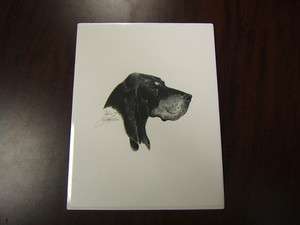 Dog Print B & T Coonhound pencil sketch handsigned (jd)  