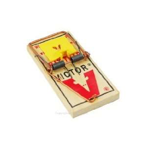   Holdfast Mouse Trap M325   12 Traps Victor Mouse Trap