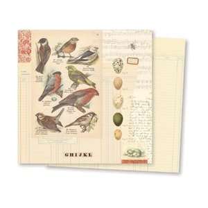Gypsies Conservatory Double Sided Paper 12X12 Aviary; 24 Items 