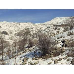 Snow Covered Landscape on Mount Hermon, Israel, Middle East 