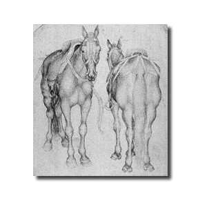  Two Horses From The The Vallardi Album Giclee Print