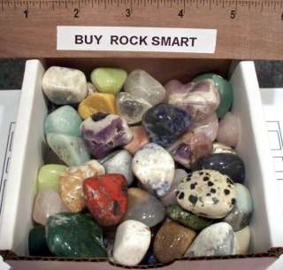 Tumbled Stone Junior Geology Kit   1.5 lbs   38643  