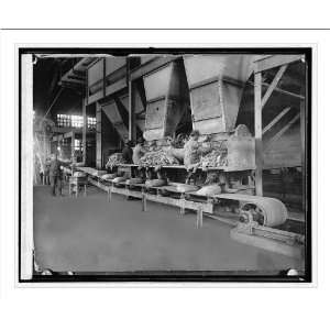 Historic Print (M): Sacking machines, Portland Cemet Co., Mason City 
