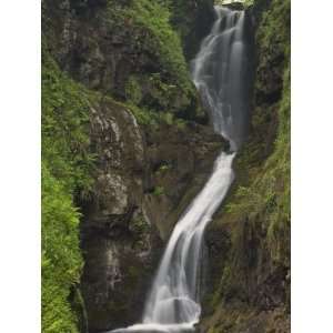 Ess Na Larach Waterfall, County Antrim, Ulster, Northern 
