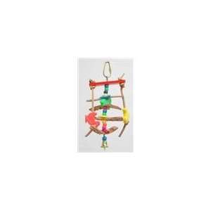    Zoo Max DUS395 Lollotte 7in x 3in Small Bird Toy