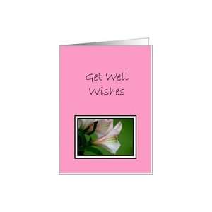   background with colored drawing of pink flowers, framed in black. Card